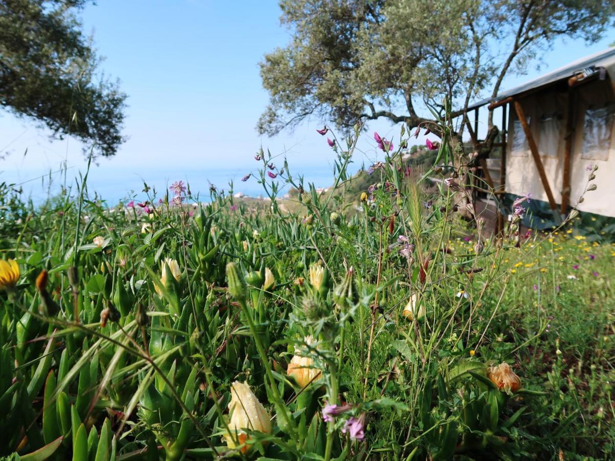 Campo Agave Luxury Tents Sayalonga Exterior foto