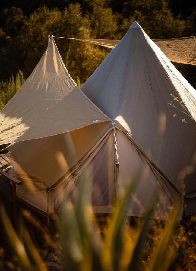 Campo Agave Luxury Tents Sayalonga Exterior foto
