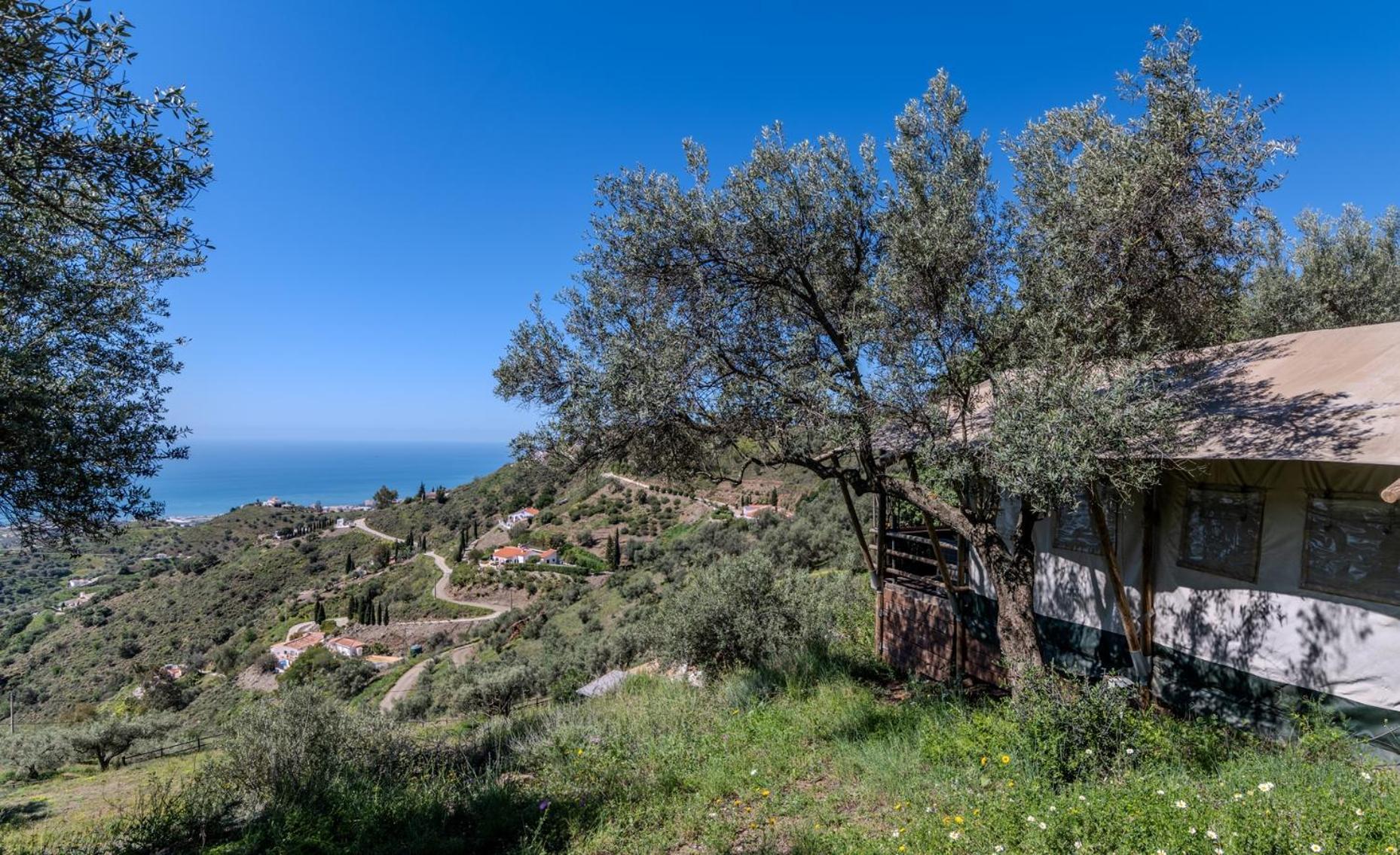 Campo Agave Luxury Tents Sayalonga Exterior foto